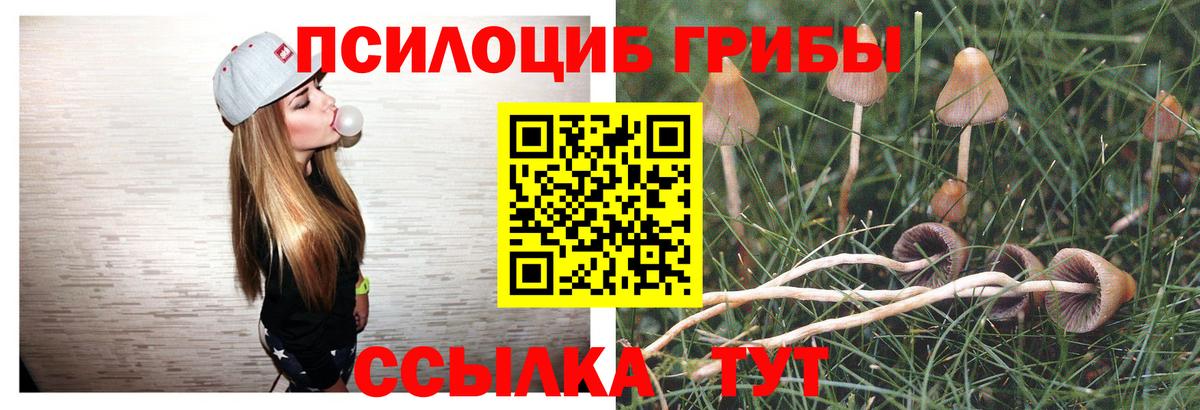 Галлюциногенные грибы Magic Shrooms Александров