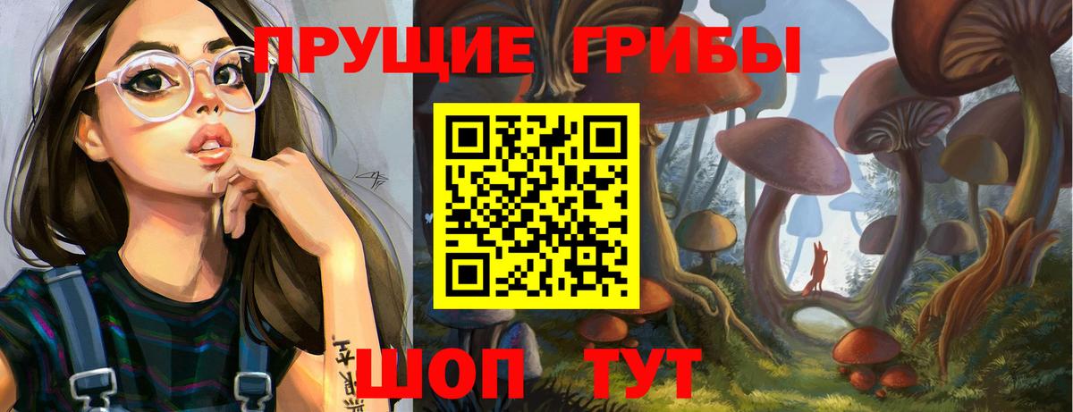 Галлюциногенные грибы GOLDEN TEACHER  Псилоцибиновые грибы MAGIC MUSHROOMS  Вход с VPN  Александров 